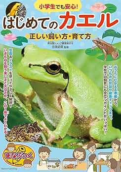 カエルの背に数匹の子 Amazon | 活餌 餌用カエル 10匹 ヌマガエル エサ用 えさ用 蛙 CB